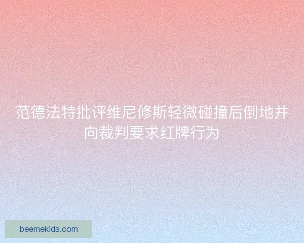 范德法特批评维尼修斯轻微碰撞后倒地并向裁判要求红牌行为
